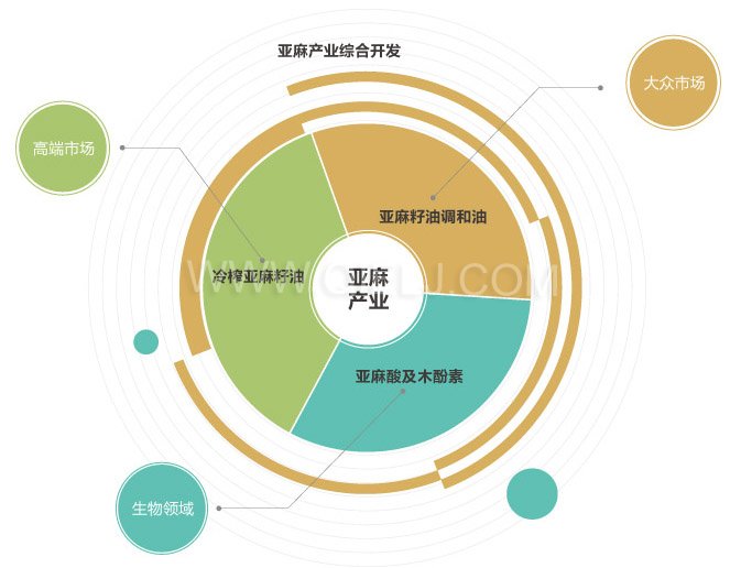低溫冷榨亞麻籽油設(shè)備 開(kāi)亞麻籽油廠 胡麻籽油精煉成套設(shè)備(圖6)