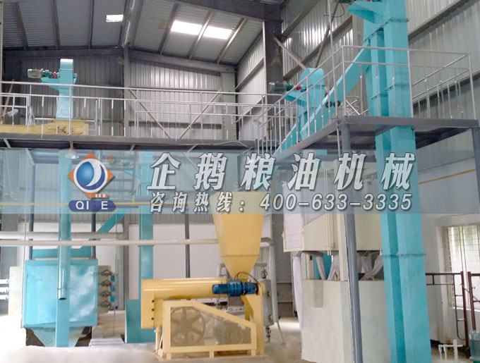 如何投資建設(shè)棕櫚油加工廠？企鵝糧油機(jī)械在線為您答疑解惑(圖4)