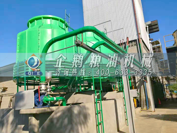 如何投資建設(shè)棕櫚油加工廠？企鵝糧油機(jī)械在線為您答疑解惑(圖3)