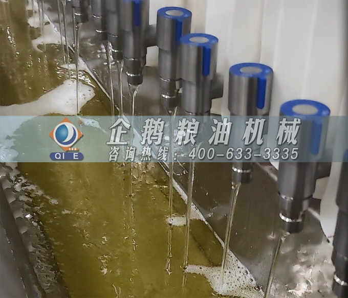 QQ20250107-154542.jpg